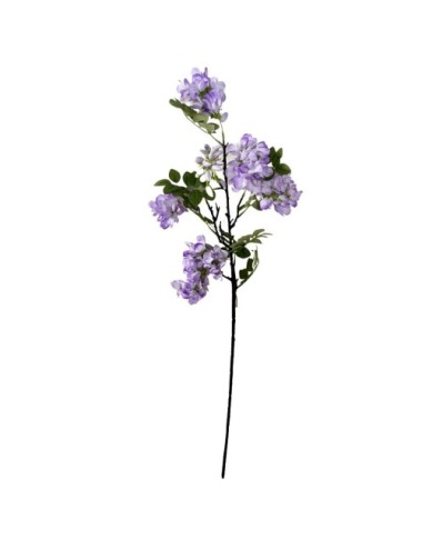 Gałązka z kwiatami wisterii...