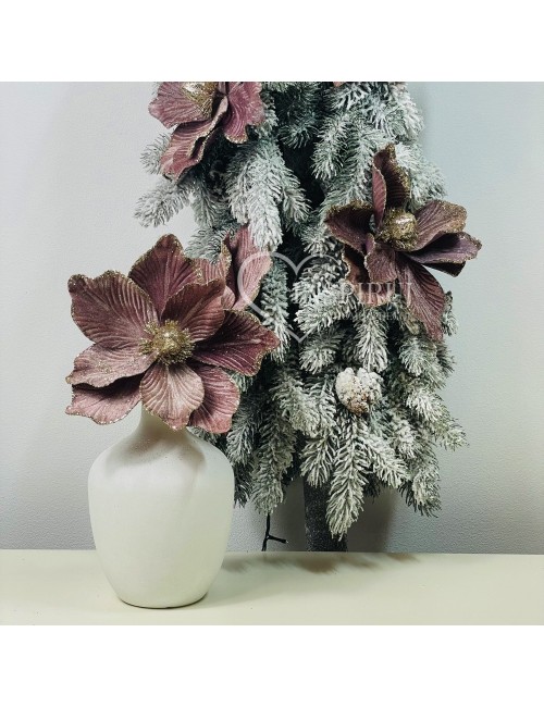 Magnolia fioletowa na piku...