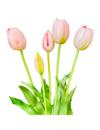 Jasno-różowe tulipany -...
