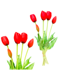 Czerwone tulipany - Bukiet...