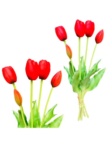 Czerwone tulipany - Bukiet...