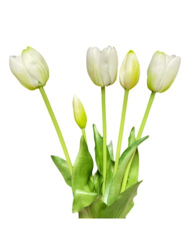 Białe tulipany - Bukiet...