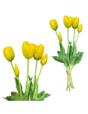 Żółte tulipany - Bukiet...