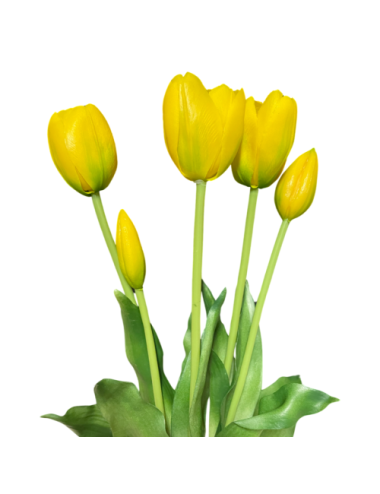 Żółte tulipany - Bukiet...