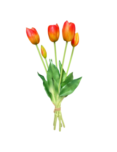 Pomarańczowe tulipany -...