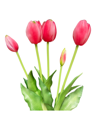 Różowe tulipany - Bukiet...