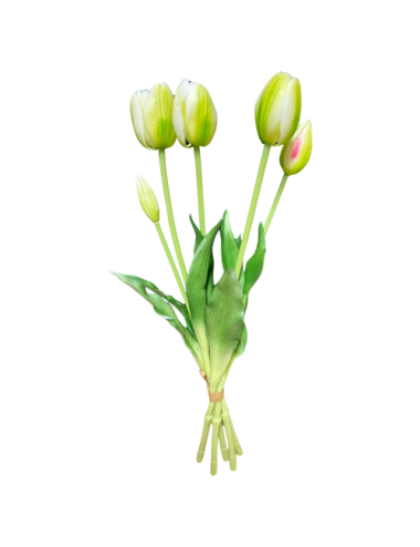 Zielone tulipany - Bukiet...