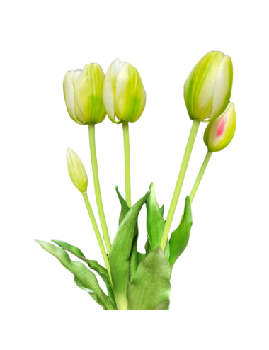Zielone tulipany - Bukiet...