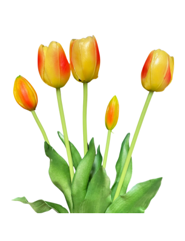 Żółto-pomarańczowe tulipany...