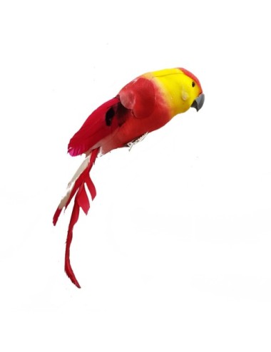 Papuga dekoracyjna pióra...