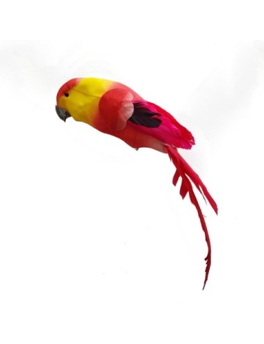 Papuga dekoracyjna pióra...