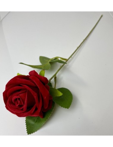 Róża czerwona welwetowa...