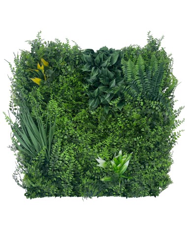 Zielona ściana Fern Dream -...