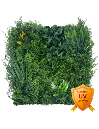 Zielona ściana Fern Dream -...