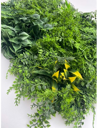 Zielona ściana Fern Dream -...