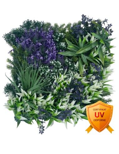 Ogród wertykalny Violet...