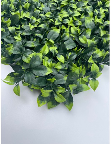 Zielona ściana Gardenia -...